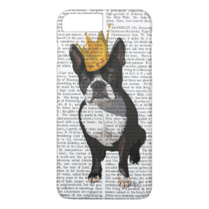 title_seo2 Boston Terrier Y Crown