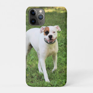 Funda Para iPhone 11 Pro Boxeador