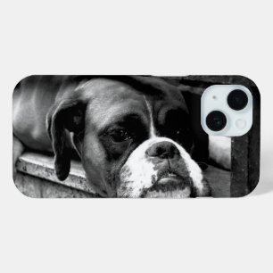 Funda Para iPhone 15 Boxer Dog En Windowsill Iphcna