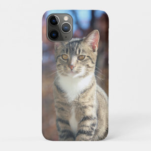 Funda Para iPhone 11 Pro Brin
