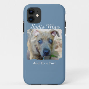 title_seo2 Brindle Pit Bull con una foto de Shirley Taylor
