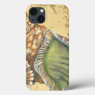 Funda Para iPhone 13 Brown and Green Seashell