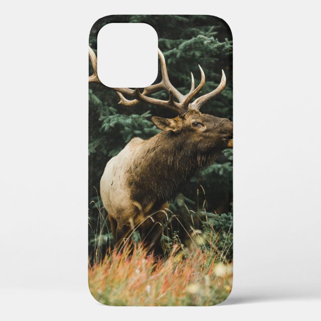 FUNDA DE Case-Mate PARA iPhone BROWN DEER ON GREEN GRASS DURANTE EL DÍA (Reverso )