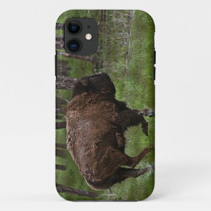 title_seo2 Búfalo y bosque en funcionamiento, diseño de Bison