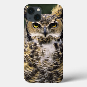 Funda Para iPhone 13 Búho Americano (Bubo virginianus), cuerpo completo