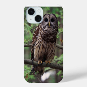 Funda Para iPhone 15 Búho Barrado