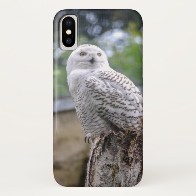 Funda De Case-Mate Para iPhone Búho de nieve (Reverso)