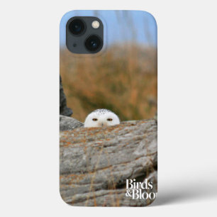 Funda Para iPhone 13 Búho Nevado