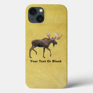 title_seo2 Bull Moose