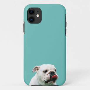 title_seo2 Bulldog blanco de perro lindo