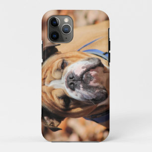 Funda Para iPhone 11 Pro Bulldog Buddy