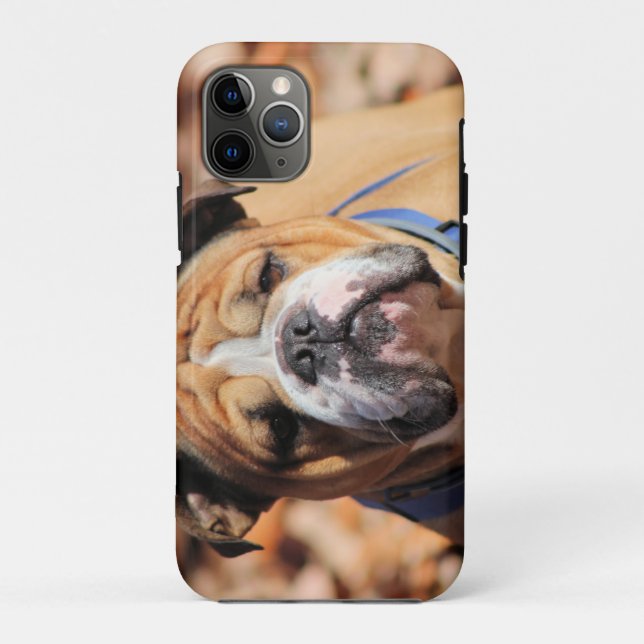 Funda De Case-Mate Para iPhone Bulldog Buddy (Reverso)