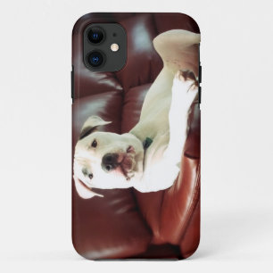 Funda Para iPhone 11 bulldog de pozo blanco en el sofá