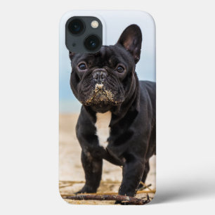 Funda Para iPhone 13 Bulldog francés jugando en la arena