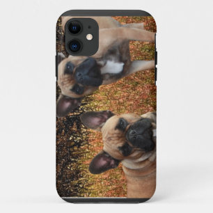 title_seo2 Bulldoges franceses IPhone 5 Case cresas