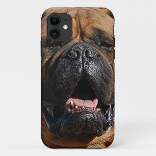 title_seo2 bullmastiff.png
