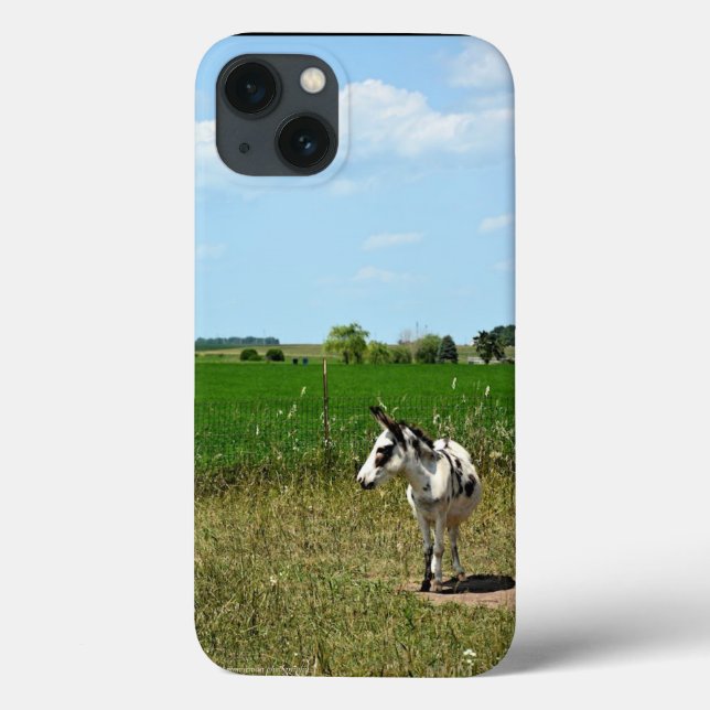 Funda De Case-Mate Para iPhone Burro en un campo (Reverso)
