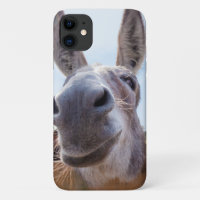 Burro sonriente