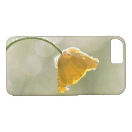 title_seo2 Buttercup matutino