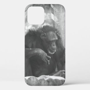 Funda Para iPhone 12 BW Chimp