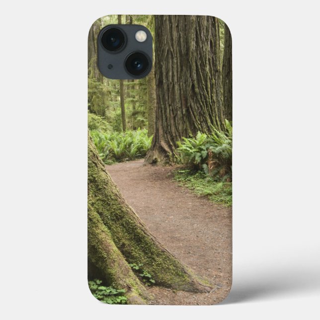 Funda De Case-Mate Para iPhone CA, Parque Estatal Jedediah Smith, Simpson-Reed (Reverso)
