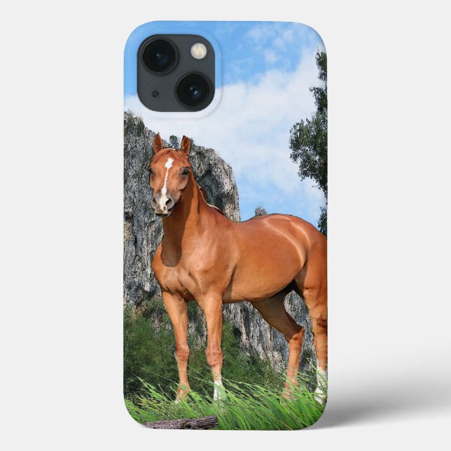 Funda De Case-Mate Para iPhone Caballo (Reverso)