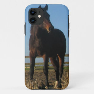 Funda Para iPhone 11 Caballo de bahía