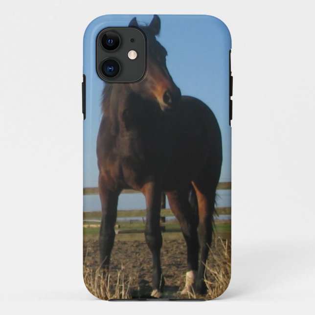 Funda De Case-Mate Para iPhone Caballo de bahía (Reverso)