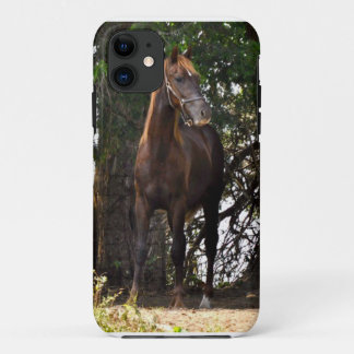 Funda Para iPhone 11 Caballo de Morgan