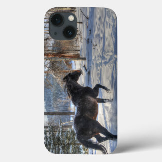 Funda Para iPhone 13 Caballo de Percheron Negro y foto de nieve 2
