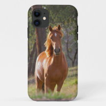 Caballo en las maderas