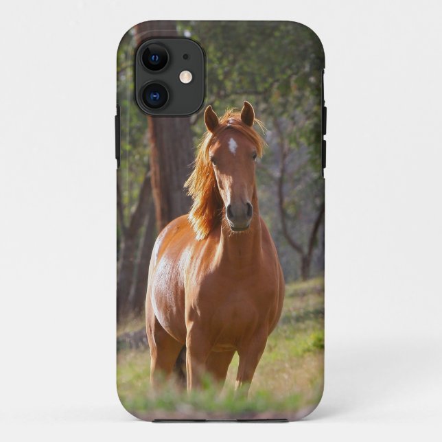 Funda De Case-Mate Para iPhone Caballo en las maderas (Reverso)