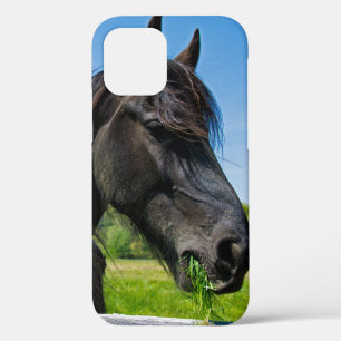 Funda Para iPhone 12 Caballo frisón negro