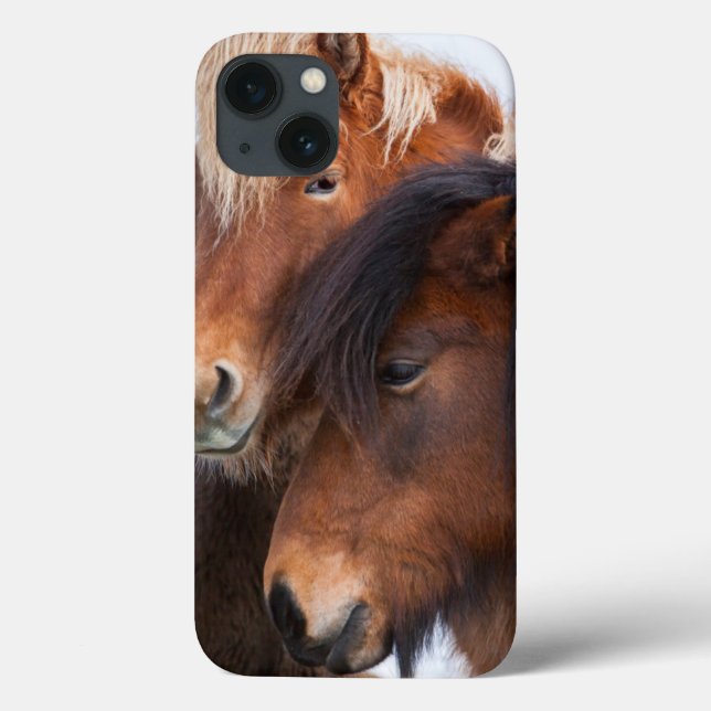 Funda De Case-Mate Para iPhone Caballo islandés durante el invierno en Islandia (Reverso)