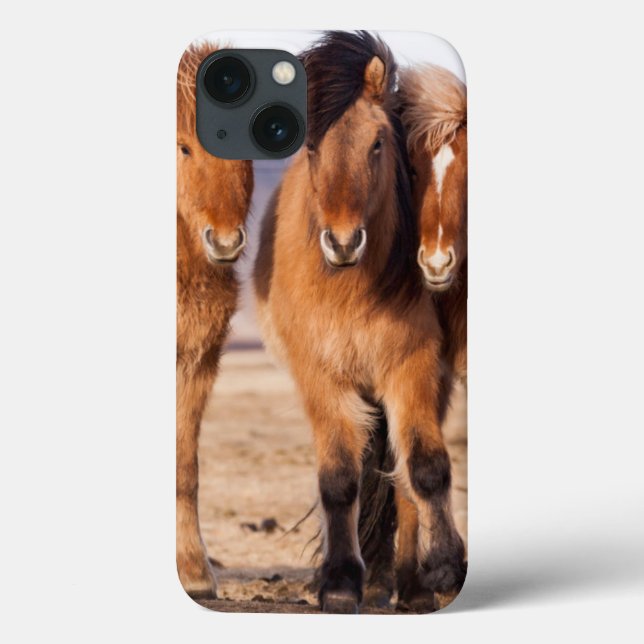Funda De Case-Mate Para iPhone Caballo islandés durante invierno (Reverso)