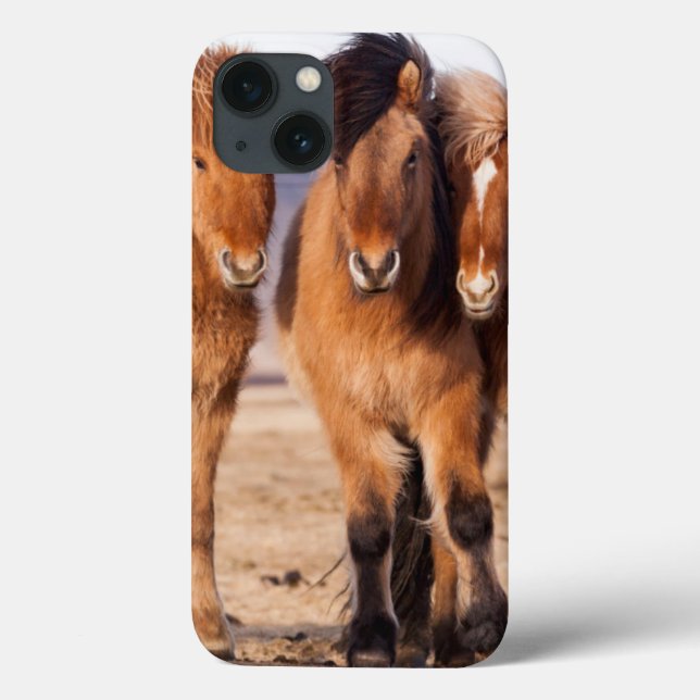 Funda De Case-Mate Para iPhone Caballo islandés durante invierno (Reverso)