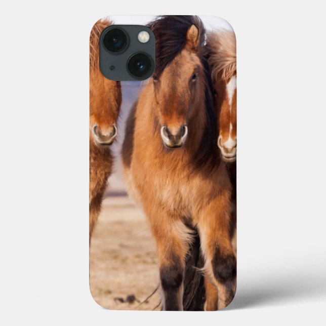 Funda De Case-Mate Para iPhone Caballo islandés durante invierno (Reverso)