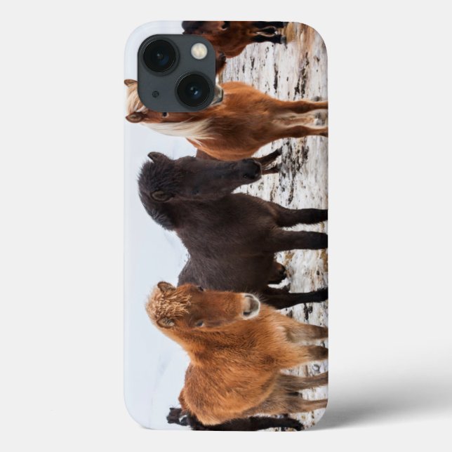 Funda De Case-Mate Para iPhone Caballo islandés durante invierno en Islandia (Reverso)