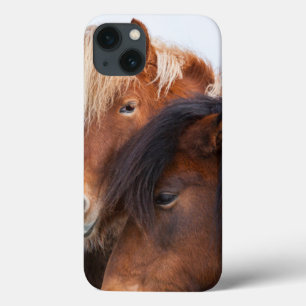 Funda Para iPhone 13 Caballo islandés durante invierno en Islandia 3