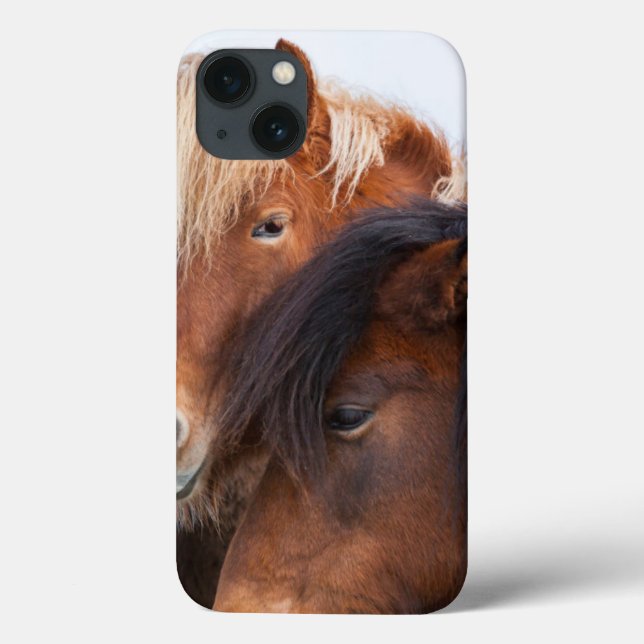 Funda De Case-Mate Para iPhone Caballo islandés durante invierno en Islandia 3 (Reverso)