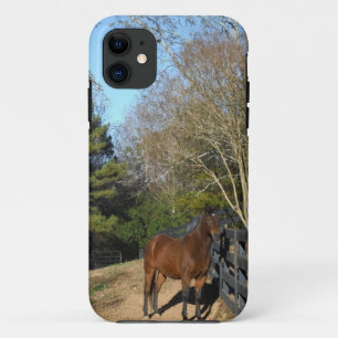title_seo2 Caballo marrón contra una valla