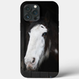 Funda Para iPhone 13 Pro Max Caballo marrón en la granja