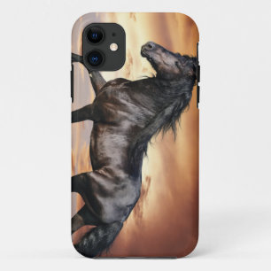 Funda Para iPhone 11 Caballo Negro Hermoso