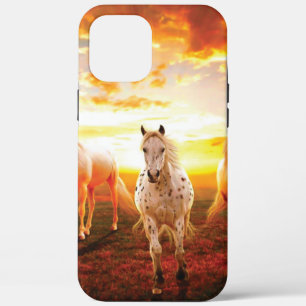 title_seo2 Caballos al atardecer lanzando almohada