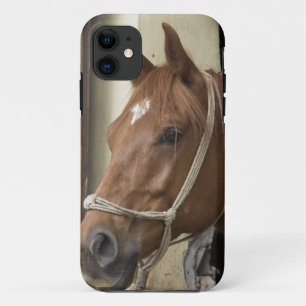 Funda Para iPhone 11 Caballos árabes