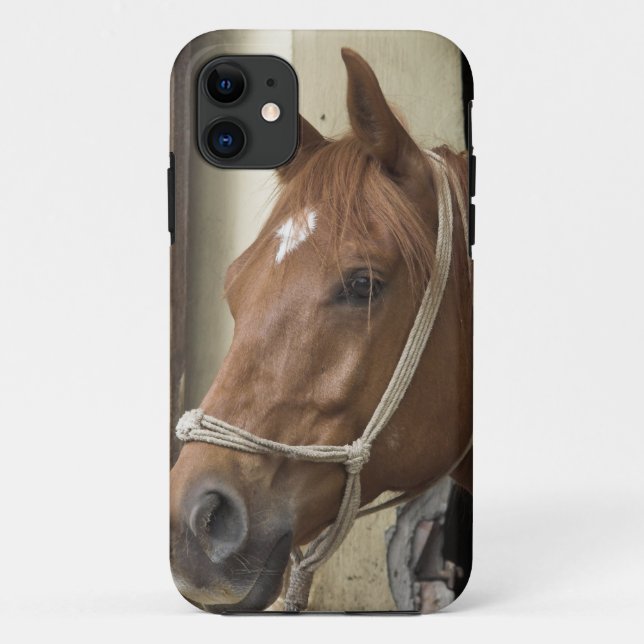 Funda De Case-Mate Para iPhone Caballos árabes (Reverso)
