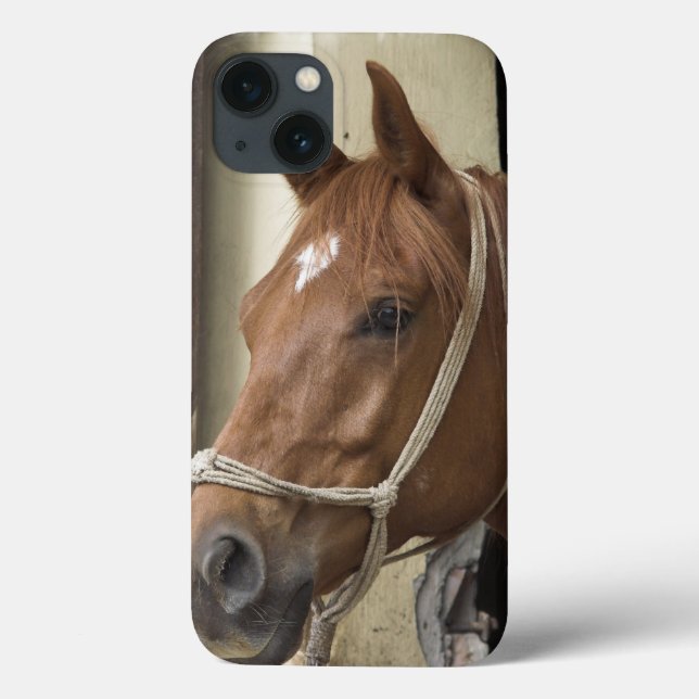 Funda De Case-Mate Para iPhone Caballos árabes (Reverso)