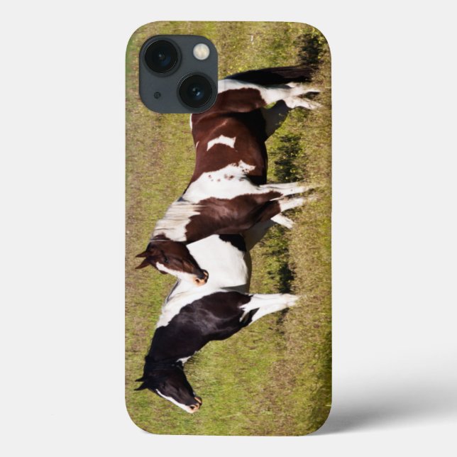 Funda De Case-Mate Para iPhone Caballos en la ladera (Reverso)