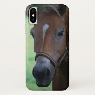 title_seo2 Cabeza de caballo 001
