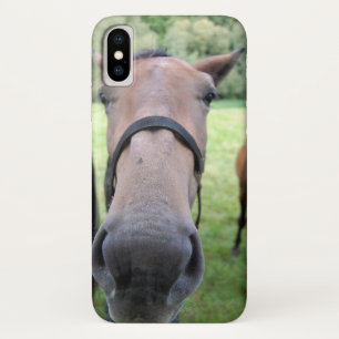 title_seo2 Cabeza de caballo 004